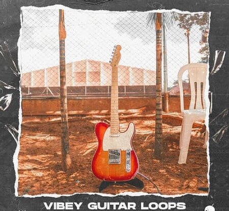 UNKWN Sounds Vibey Guitar Loops Vol.1 WAV